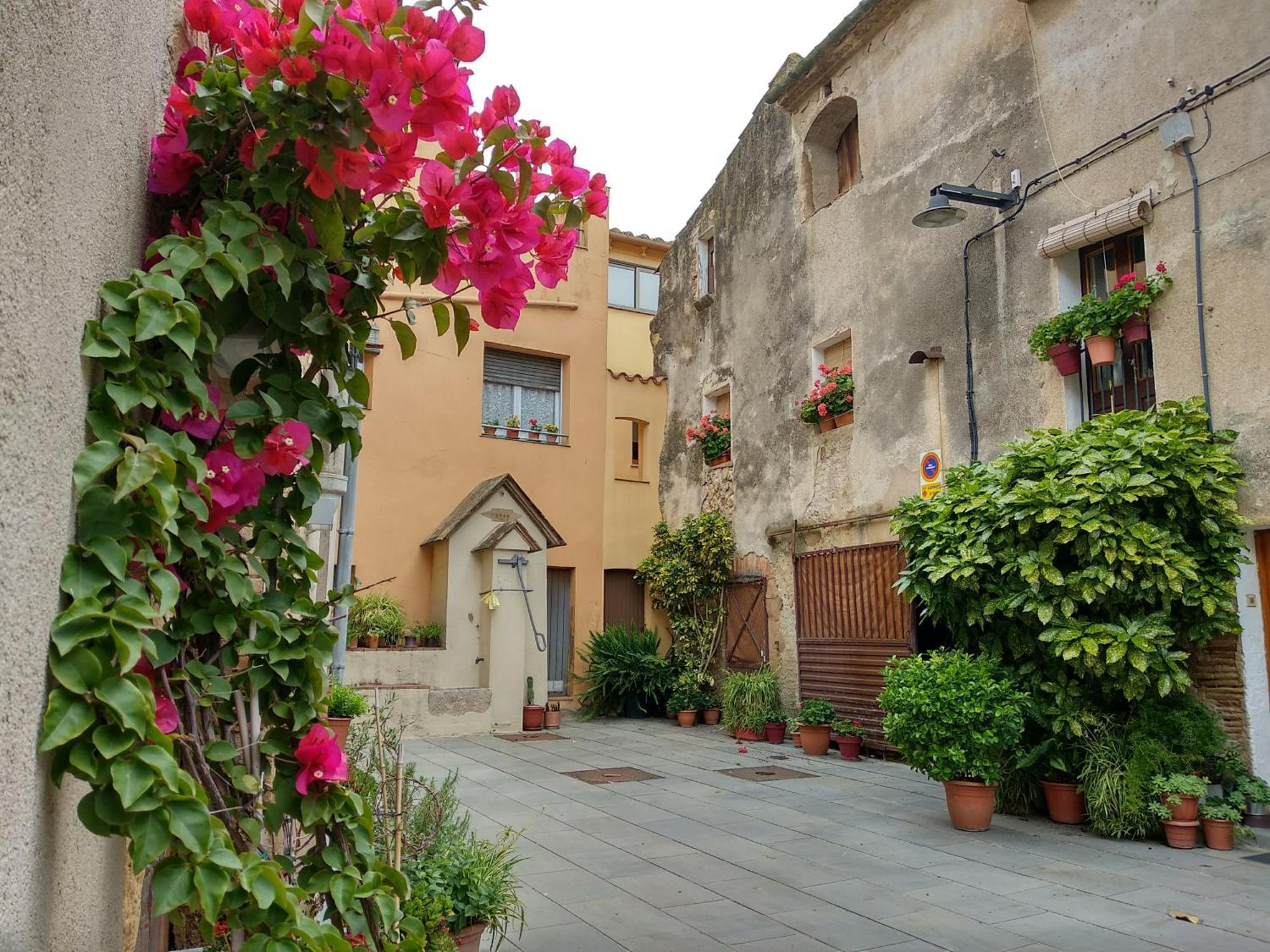 Can Girmas Casa De Turisme Rural Navata Exterior photo